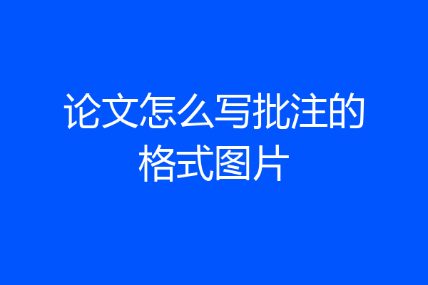 论文怎么写批注的格式图片