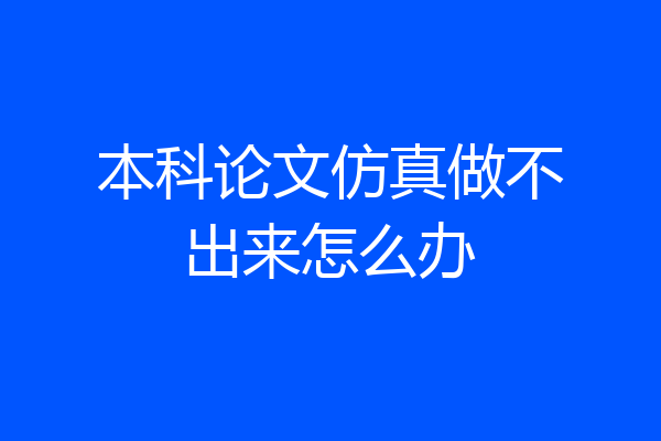 本科论文仿真做不出来怎么办
