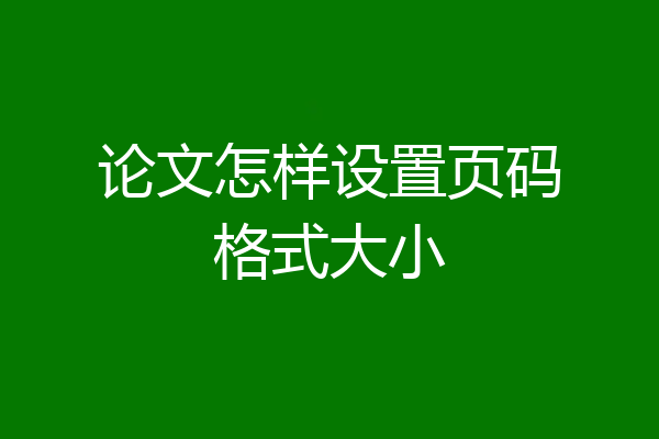论文怎样设置页码格式大小