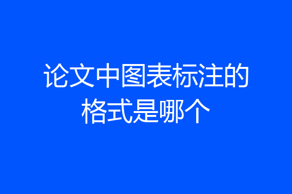 论文中图表标注的格式是哪个