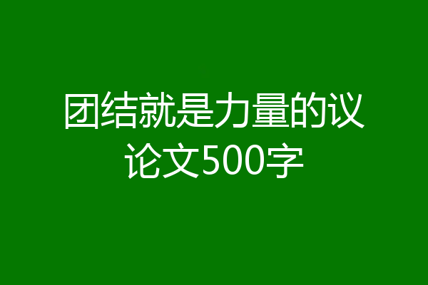 团结就是力量的议论文500字