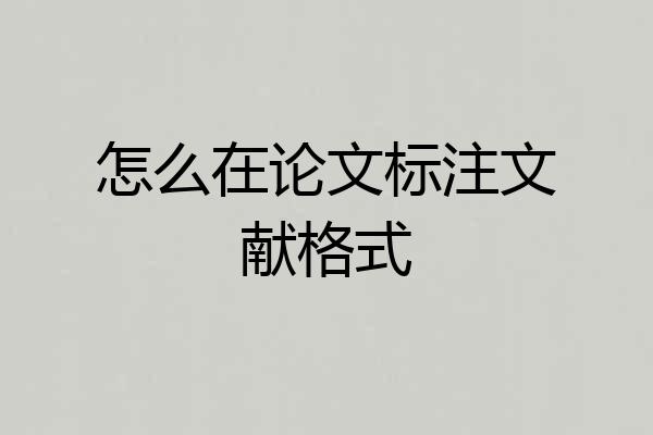 怎么在论文标注文献格式