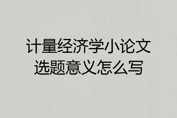 计量经济学小论文选题意义怎么写