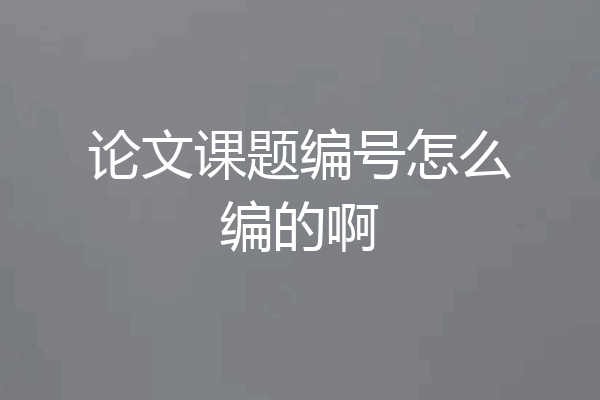 论文课题编号怎么编的啊