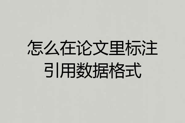 怎么在论文里标注引用数据格式