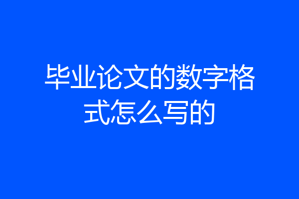 毕业论文的数字格式怎么写的