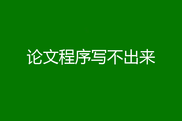 论文程序写不出来