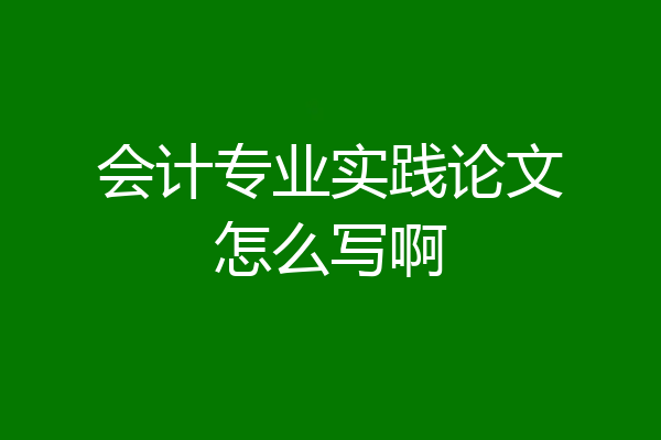会计专业实践论文怎么写啊
