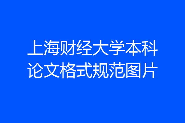 上海财经大学本科论文格式规范图片
