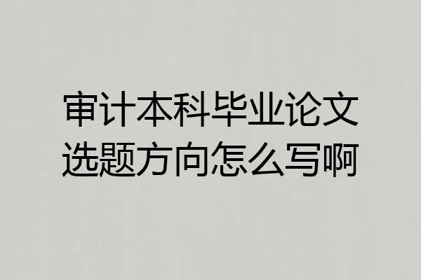 审计本科毕业论文选题方向怎么写啊