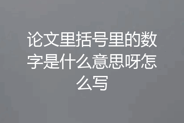 论文里括号里的数字是什么意思呀怎么写