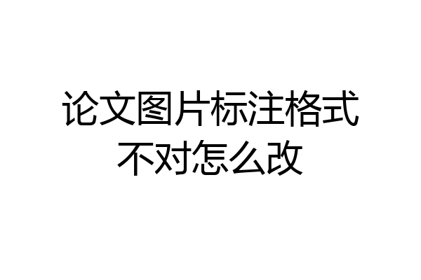 论文图片标注格式不对怎么改