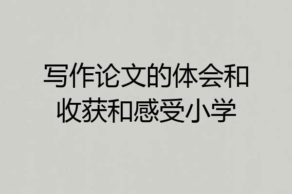 写作论文的体会和收获和感受小学