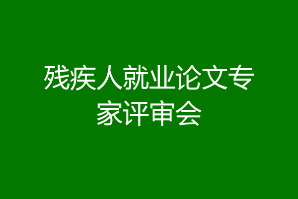 残疾人就业论文专家评审会