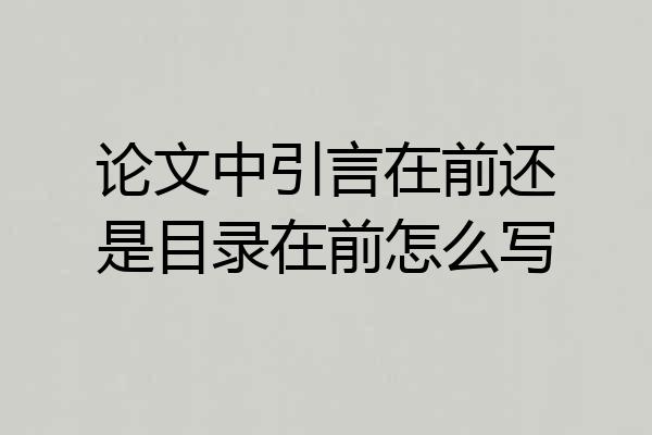 论文中引言在前还是目录在前怎么写