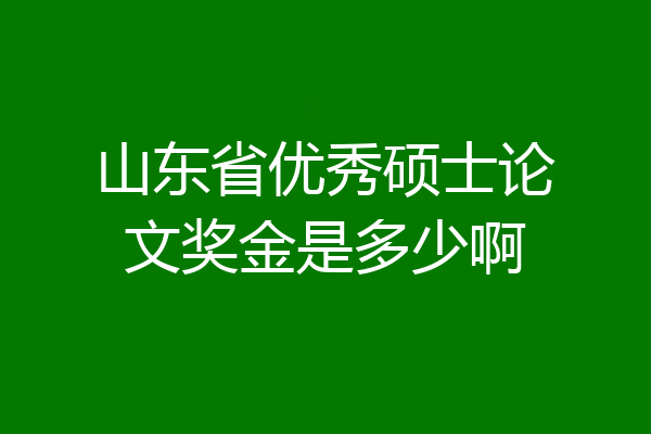 山东省优秀硕士论文奖金是多少啊