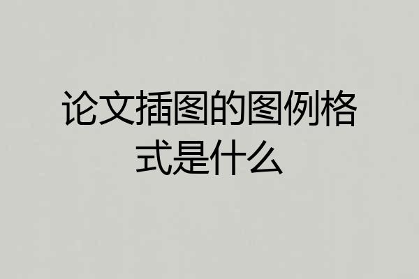 论文插图的图例格式是什么