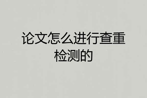 论文怎么进行查重检测的