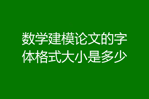 数学建模论文的字体格式大小是多少