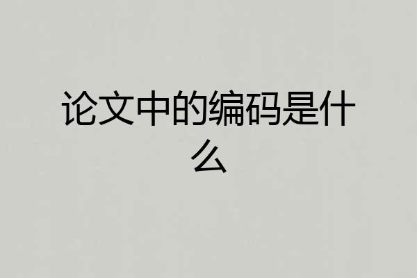 论文中的编码是什么