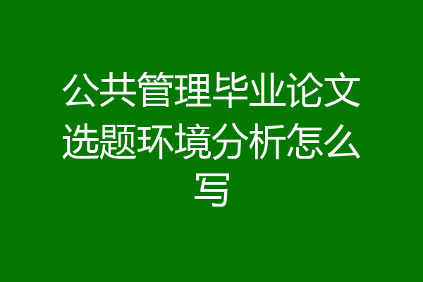 公共管理毕业论文选题环境分析怎么写