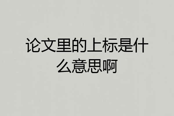 论文里的上标是什么意思啊