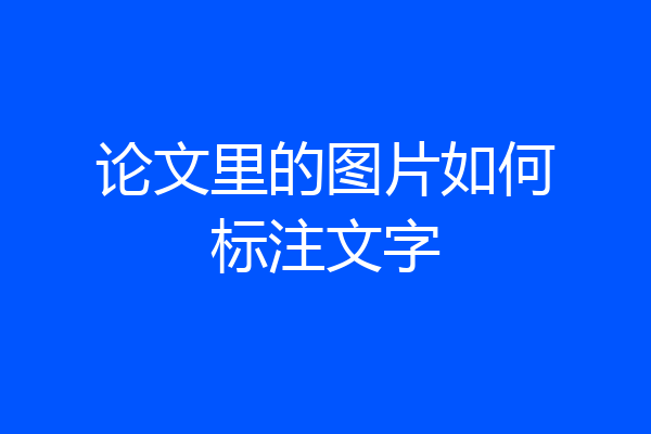 论文里的图片如何标注文字