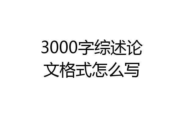 3000字综述论文格式怎么写
