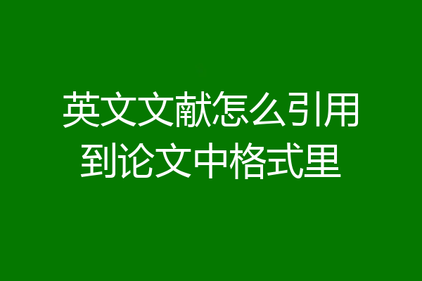 英文文献怎么引用到论文中格式里