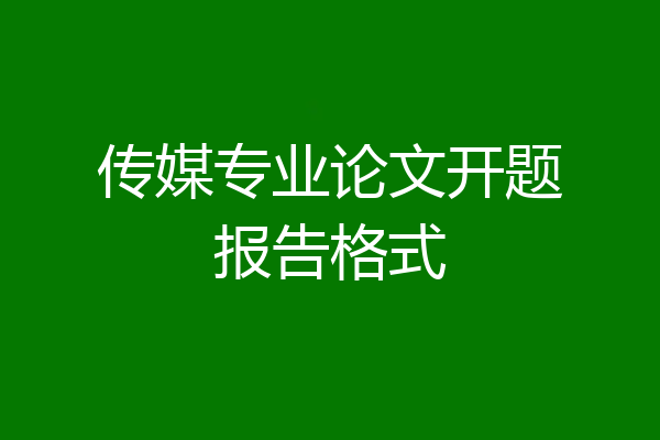 传媒专业论文开题报告格式