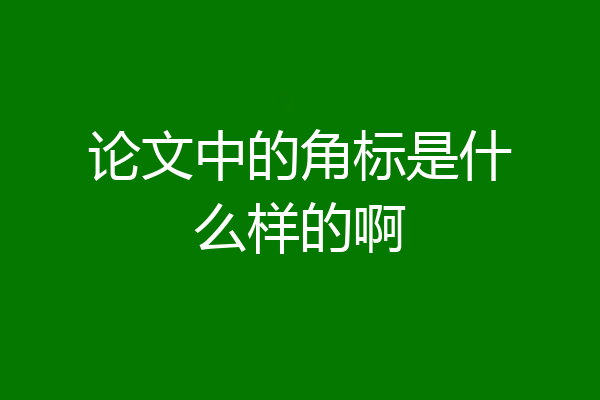 论文中的角标是什么样的啊