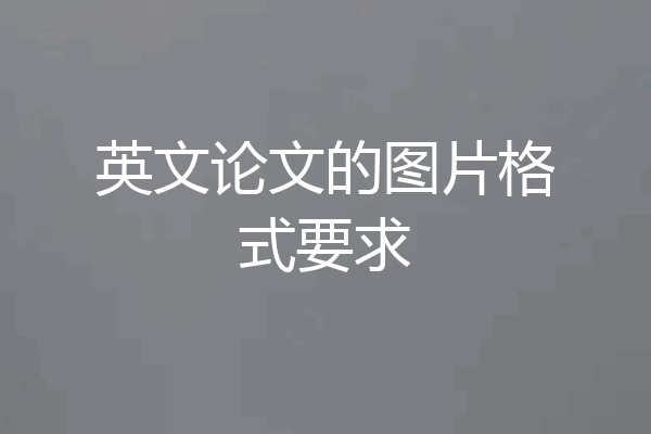 英文论文的图片格式要求