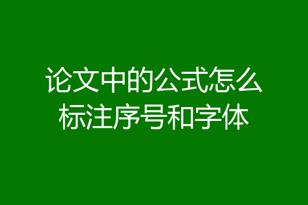 论文中的公式怎么标注序号和字体