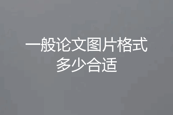 一般论文图片格式多少合适