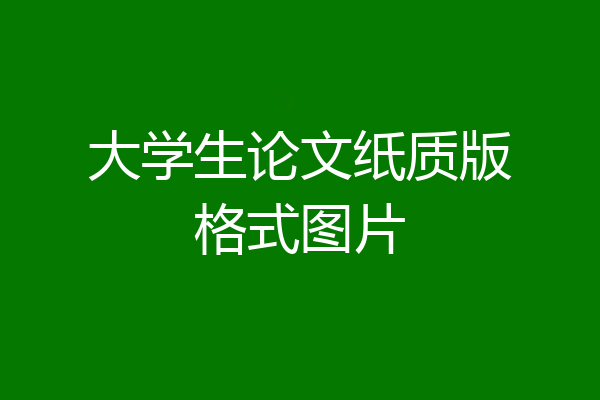 大学生论文纸质版格式图片