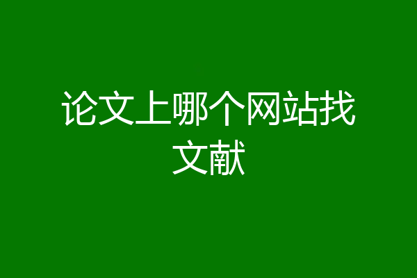 论文上哪个网站找文献