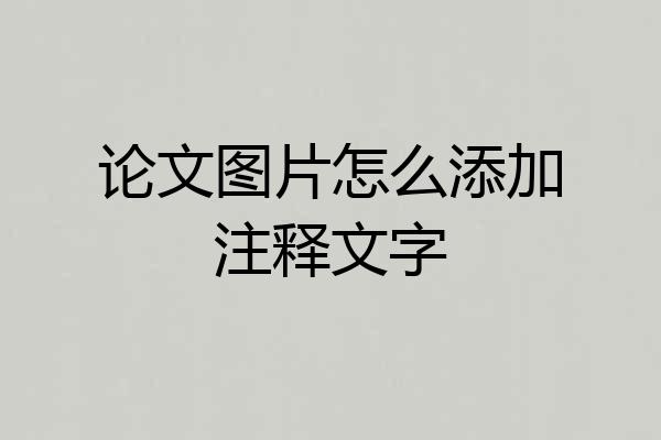 论文图片怎么添加注释文字