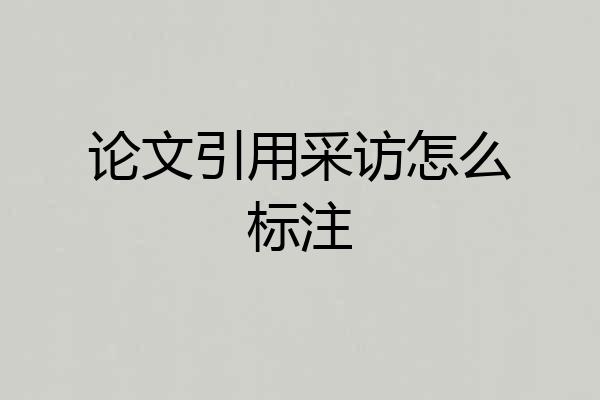 论文引用采访怎么标注
