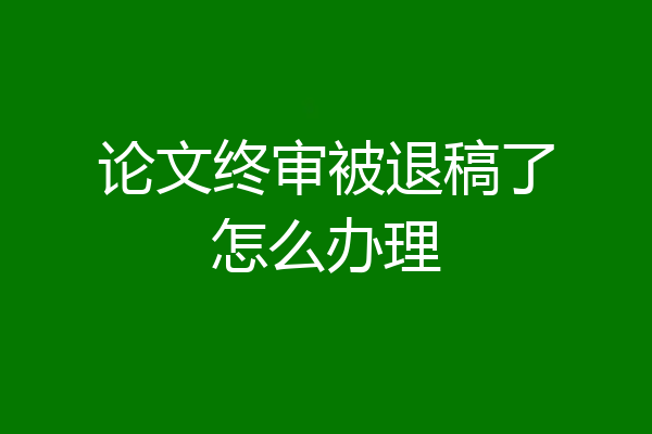 论文终审被退稿了怎么办理
