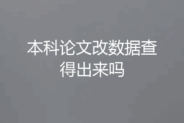 本科论文改数据查得出来吗
