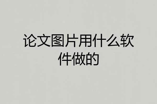 论文图片用什么软件做的