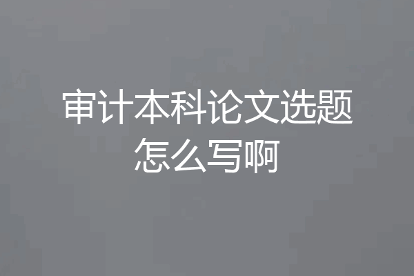 审计本科论文选题怎么写啊
