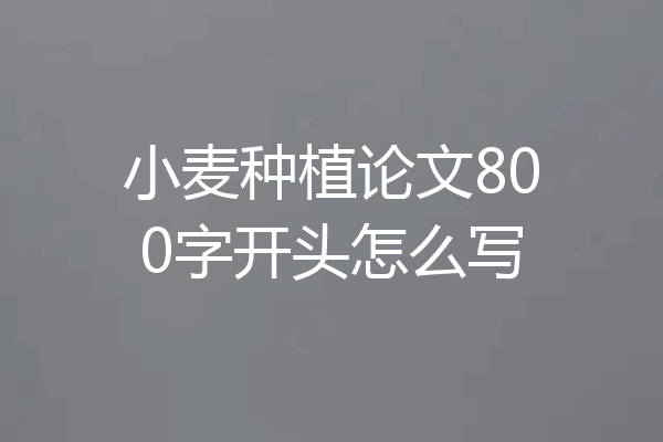 小麦种植论文800字开头怎么写
