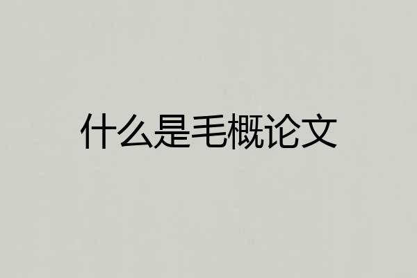 什么是毛概论文