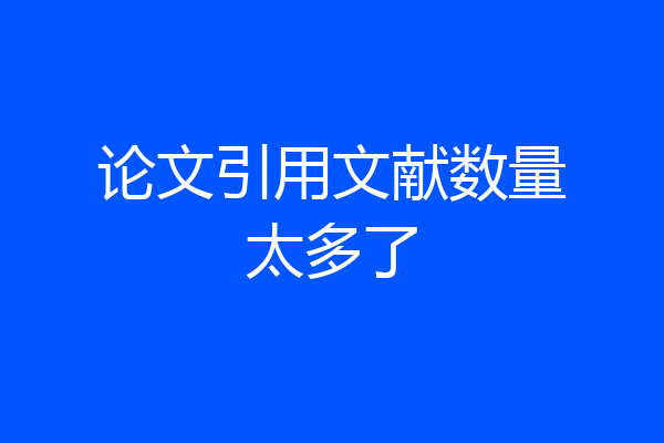 论文引用文献数量太多了