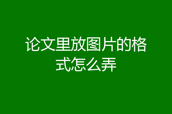 论文里放图片的格式怎么弄