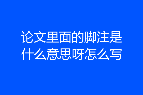 论文里面的脚注是什么意思呀怎么写
