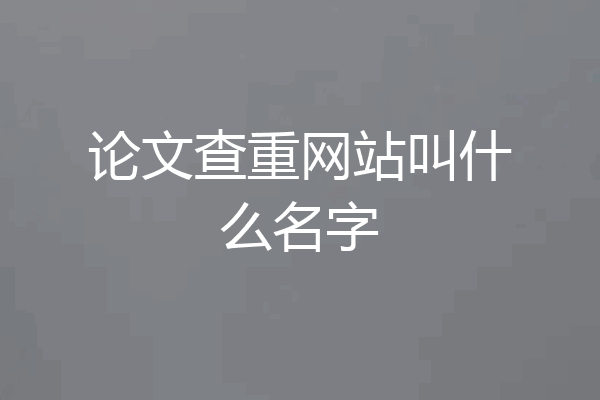 论文查重网站叫什么名字