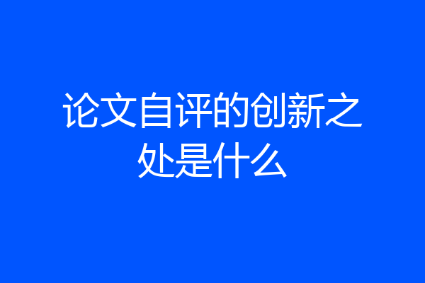 论文自评的创新之处是什么