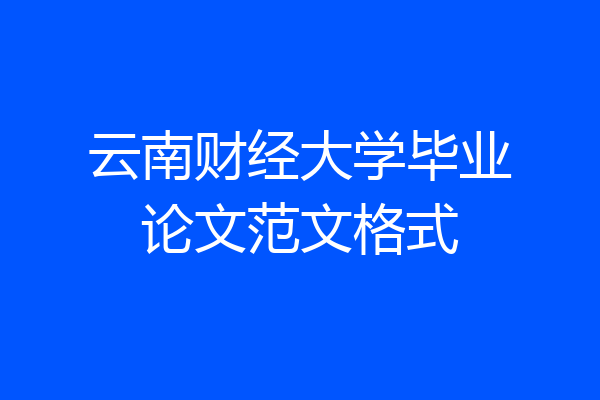 云南财经大学毕业论文范文格式